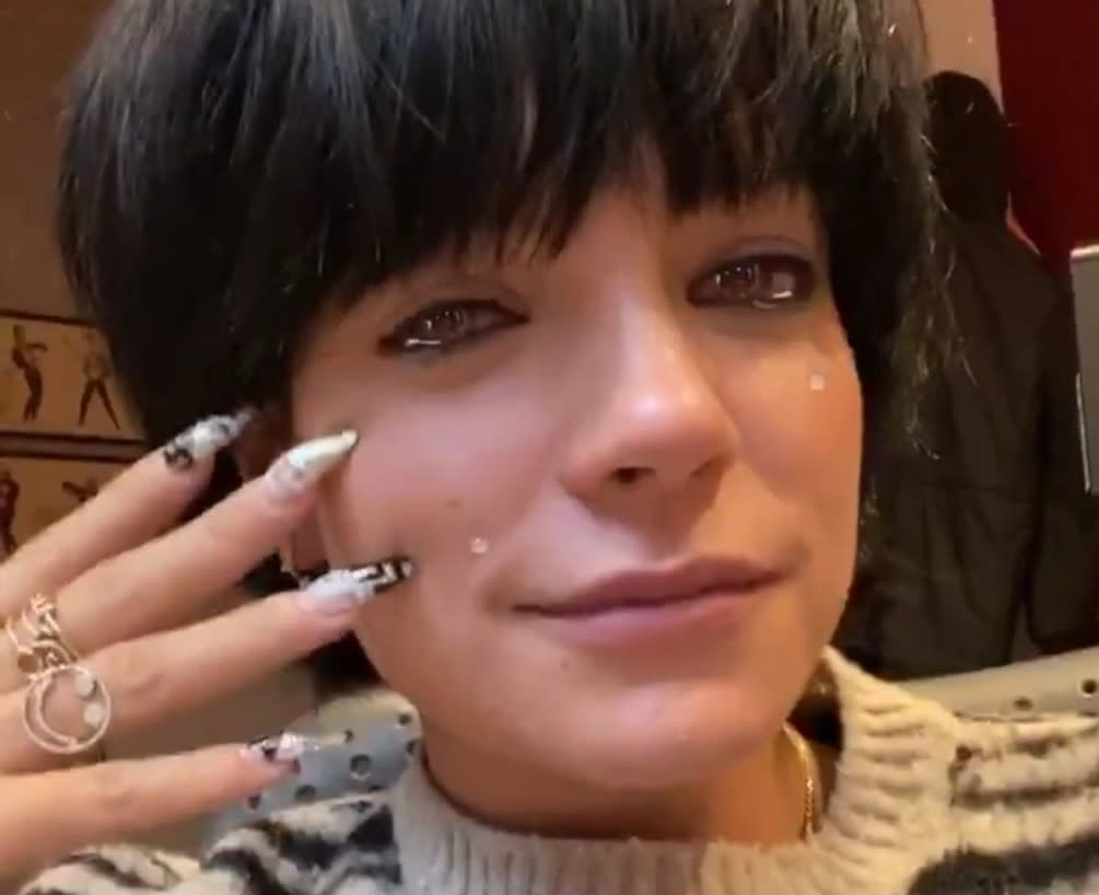 Lily Allen was 'reduced to tears' by the Labour Party's manifesto on Thursday 21 November (Instagram)