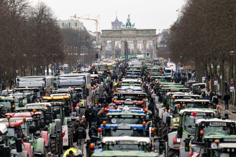 Farmers with tractors take part in a demonstration organized by the German Farmers' Association to demonstrate against the planned stop to agricultural diesel subsidies. Fabian Sommer/dpa