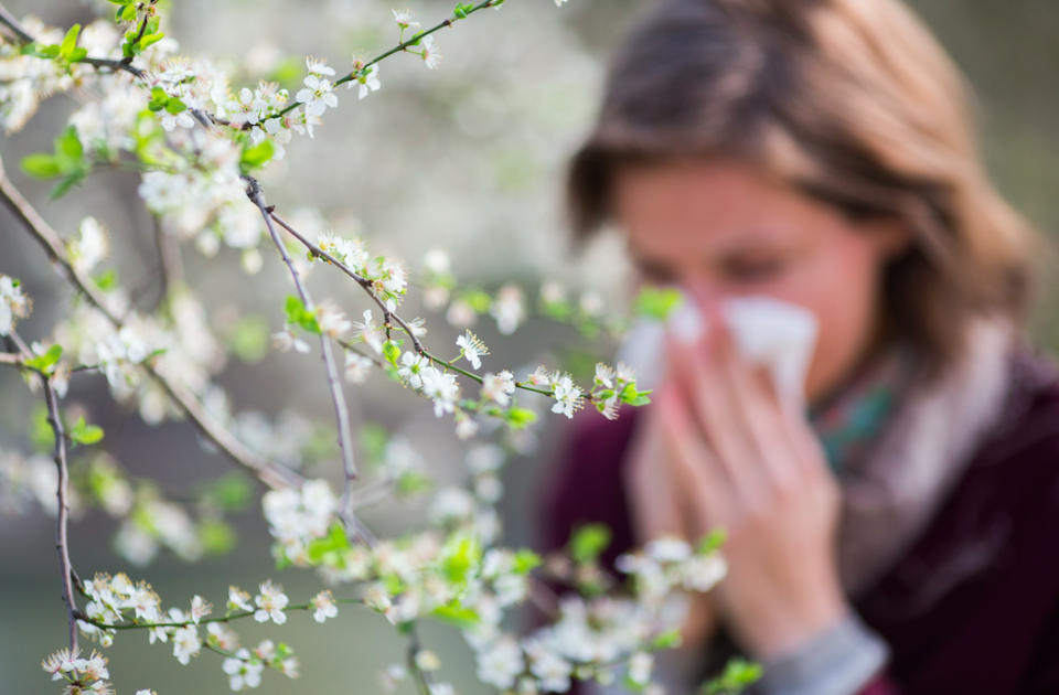 <em>Grass pollen is set to make things unbearable over the next few weeks (Rex/posed by model)</em>