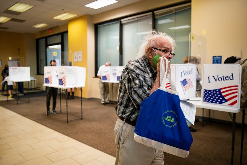 People vote at an early voting site in Arlington, Virginia