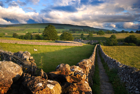 A walking path in the Yorkshire Dales - Credit: ©Steve Silver Smith - stock.adobe.com/Steve Smith