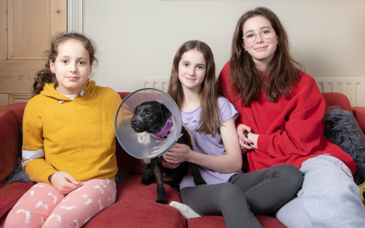 Olive, in her medical hood, with Dilys, 11, Scarlett, 14, and Matilda, 17 - Geoff Pugh