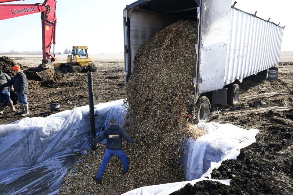 Workers install wood chips in a bioreactor trench in a farm field, Tuesday, March 28, 2023, near Roland, Iowa. Simple systems called bioreactors and streamside buffers help filter nitrates from rainwater before it can reach streams and rivers. (AP Photo/Charlie Neibergall)