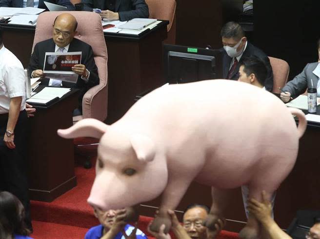 18日蘇貞昌到議場備詢，國民黨扛出豬道具抗議。（趙雙傑攝）