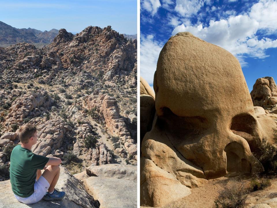 Joshua Tree diptych Mikah Meyer