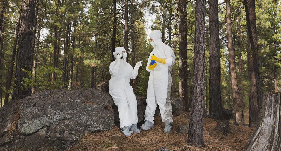 Scientists meeting about secret discoveries/projects in Woods in radiation suits with beaker and cell phone. Source: Getty Stock