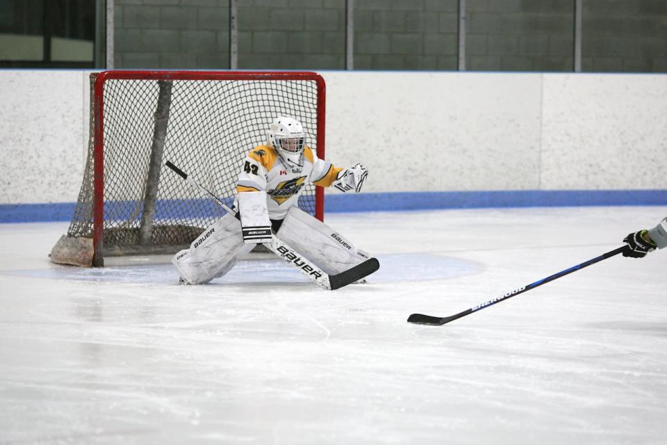 After receiving interest from families within Tavistock Minor Hockey, officials sent a formal application to the Ontario Women's Hockey Association (OWHA) in January 2023 but were denied.