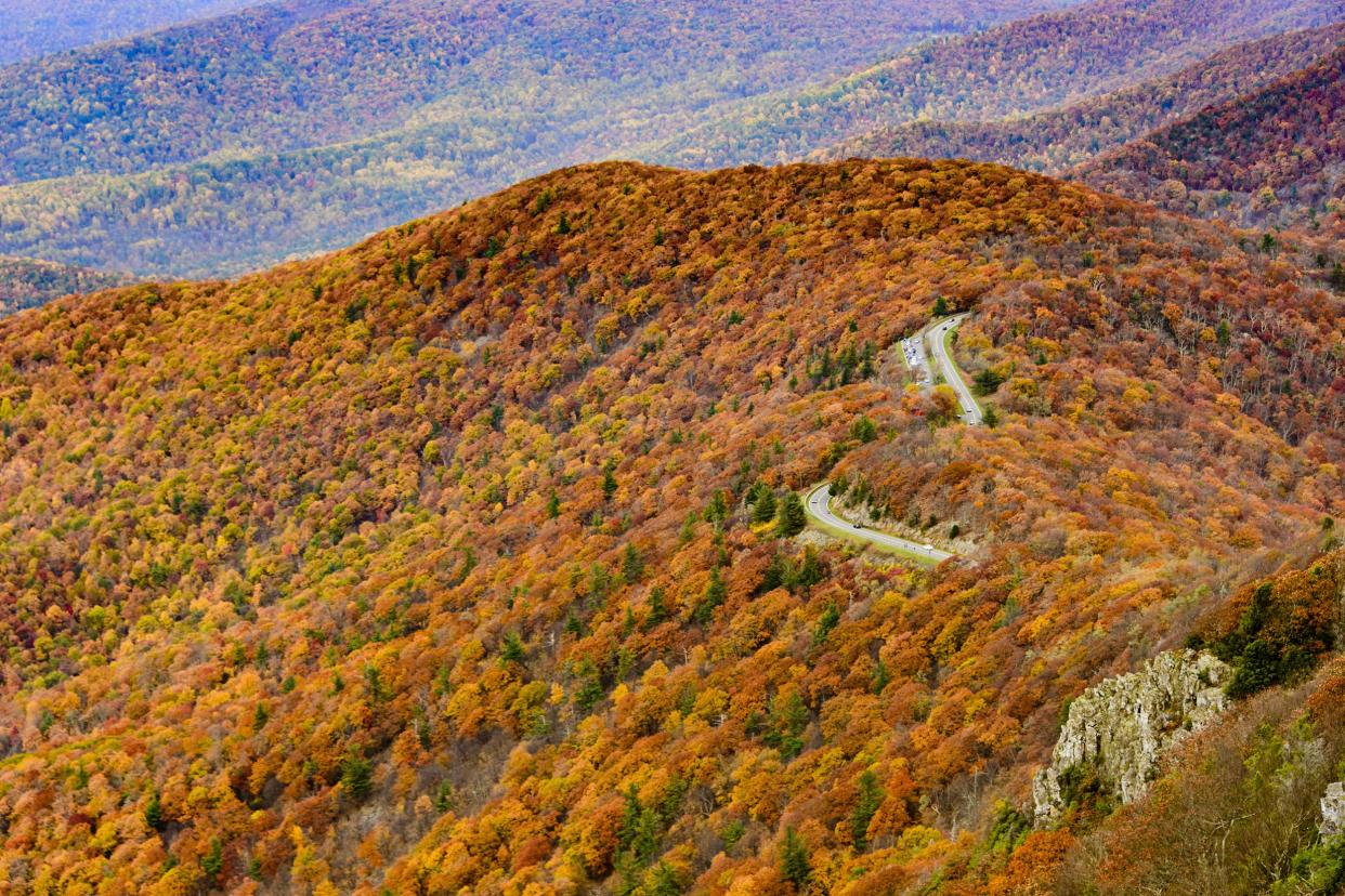 Skyline Drive, Shenandoah National Park, Virginia