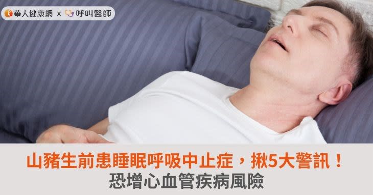 山豬生前患睡眠呼吸中止症，揪5大警訊！恐增心血管疾病風險