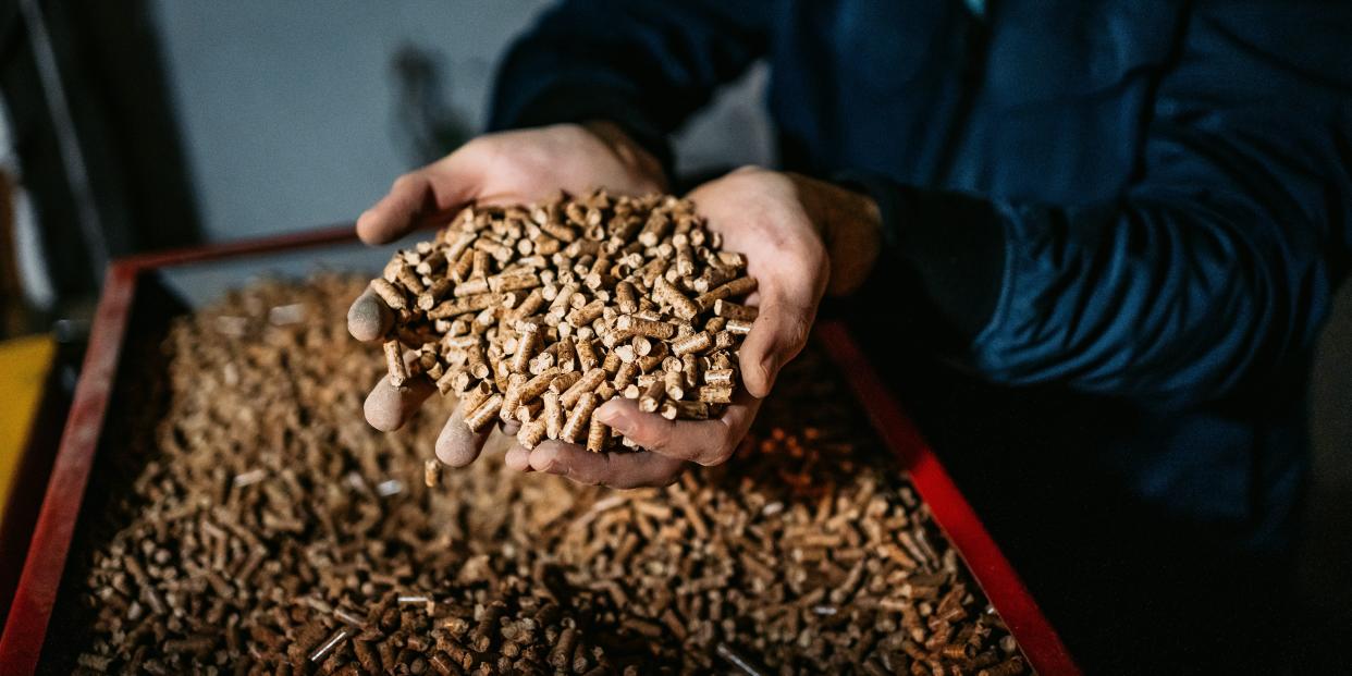 The US is filling a void for wood pellets because of Russia's war in Ukraine upending supplies.