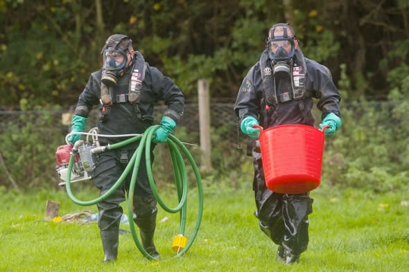 Environment Agency poison Hampshire lakes to kill invasive fish