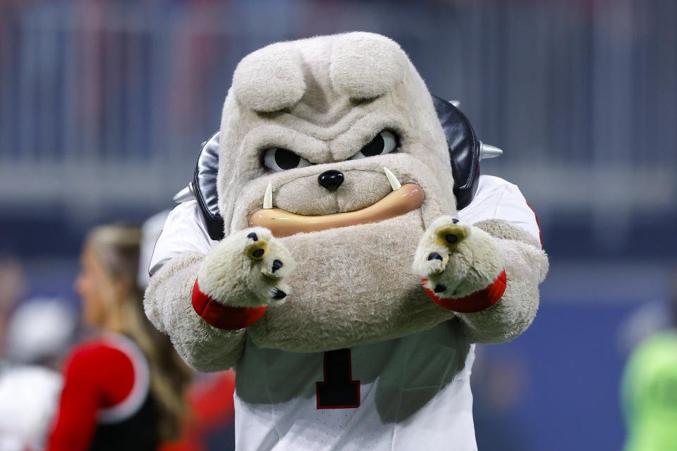 ATLANTA, GEORGIA - DECEMBER 2: UGA mascot Hairy Dawg prior to the SEC Championship game between the Alabama Crimson Tide and the Georgia Bulldogs at Mercedes-Benz Stadium on December 2, 2023 in Atlanta, Georgia. (Photo by Todd Kirkland/Getty Images)