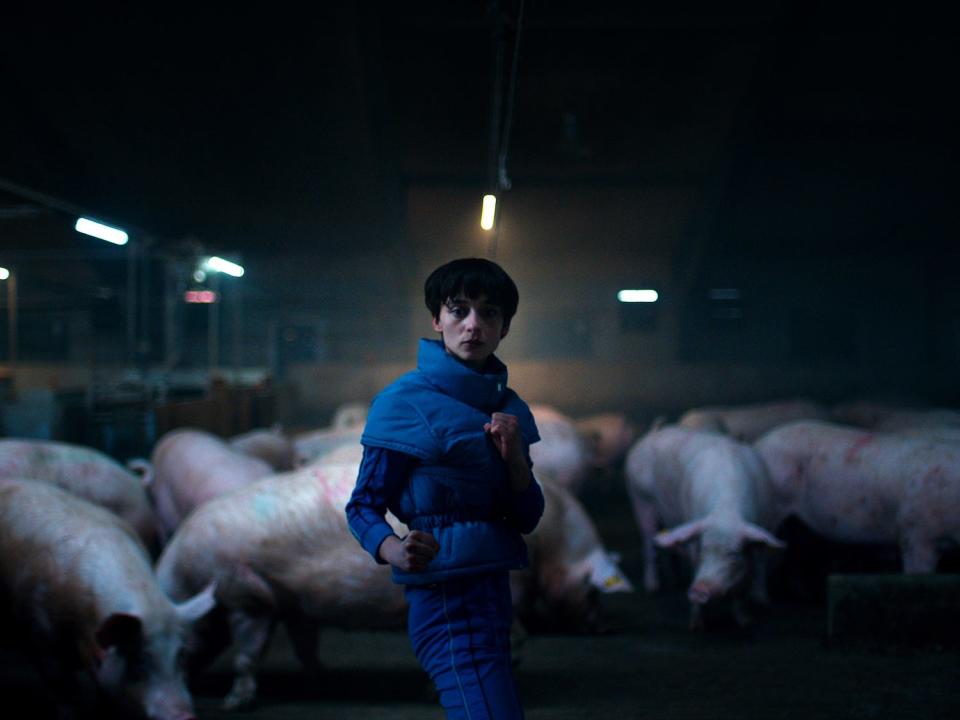 A person standing in front of pigs looking ready to fight.
