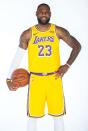 <p>James, of the Los Angeles Lakers, has been selected for the NBA All-Star Game a total of 17 times.</p>