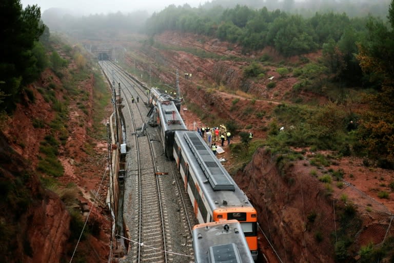 The driver slammed the brakes but was unable to prevent the crash