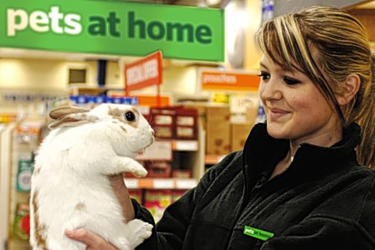 Pets at Home will hold workshops on caring for rabbits instead