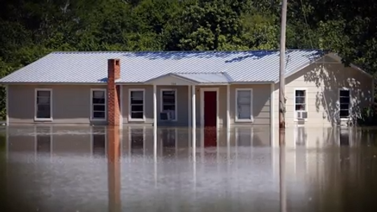 Flood damage is not covered by homeowner's insurance. You must buy a separate policy for protection.