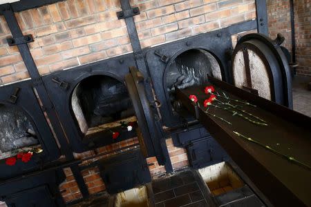 Ovens of the crematorium are seen in the former Nazi concentration camp Buchenwald near Weimar, April 12, 2015. REUTERS/Kai Pfaffenbach