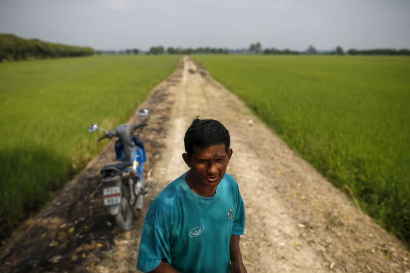 FILE PHOTO: Amnat Wongsawa, 60, stands next to a rice field in Sing Buri Province