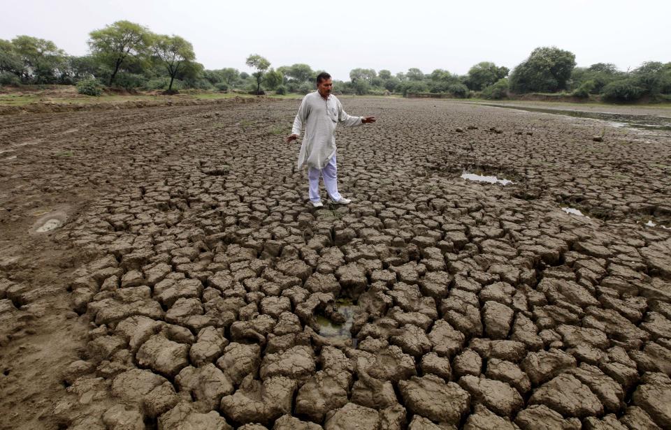 In this Wednesday, Aug. 22, 2012 photo, an Indian farmer Satyavan Narwal gestures to a parched pond that would usually provide drinking water for cattle in Kathura village, in Haryana, India. The showers, which normally run from June to September, are crucial in a country where 60 percent of the population works in agriculture and less than half the farmland is irrigated. India's Meteorological Department has said it expects the country to get at least 10 percent less rain this year than during a normal monsoon, but large parts of the country have been hit much harder. (AP Photo/Mustafa Quraishi)