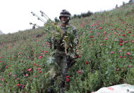 <p>A soldier holds poppy plants after a poppy field was destroyed during a military operation in the municipality of Coyuca de Catalan in Mexico, April 18, 2017. (Photo: Henry Romero/Reuters) </p>