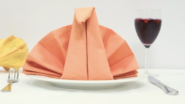 Guide to Thanksgiving Napkin Folding - The House That Lars Built