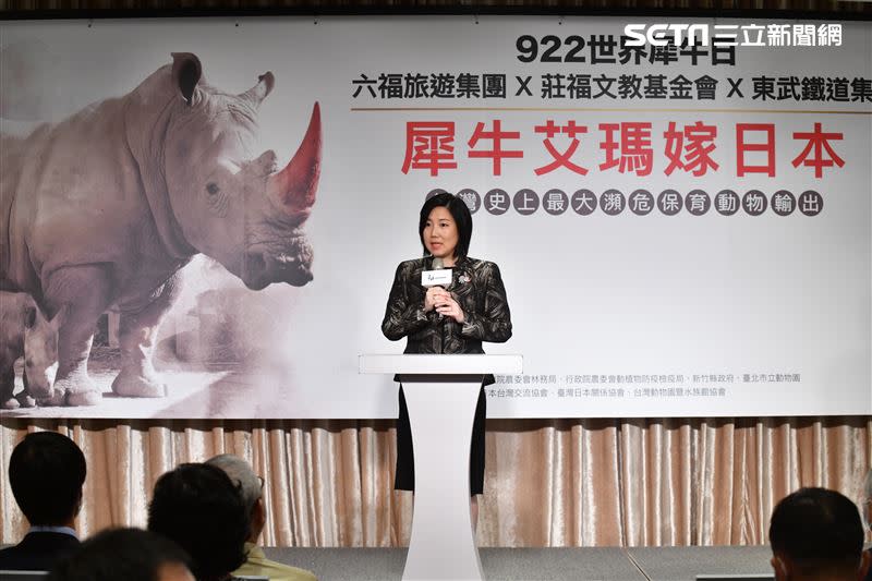 六福村野生動物園特別和日本東武鐵道集團合作，預計在明年三月將六福村的人氣白犀牛艾瑪嫁到日本東武動物公園（圖／六福集團提供）