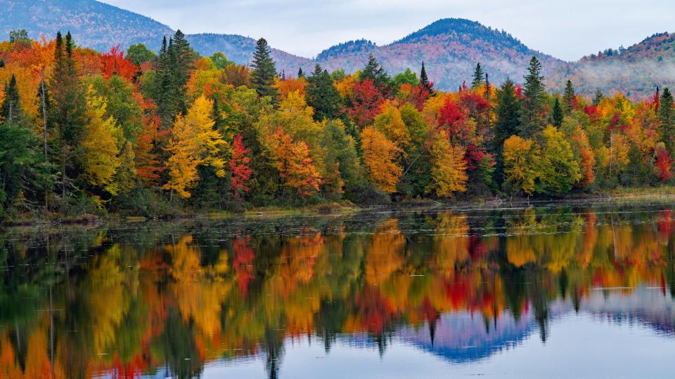 Fall foliage 2024 Where the weather will create stunning autumn colors