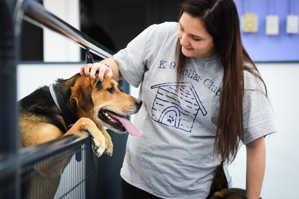 Marsala Bono, owner of K-9 Collar Club in Frankfort, pets Rocky while at work on Tuesday, Jan. 4, 2022. The goal of the business is to help address the lack of socialization with other dogs while owners are at work or busy during the day.