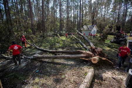 U.S. Marines and volunteers with Sheep Dog Impact Assistance organization remove branches and remains of a fallen tree from an area impacted by Hurricane Florence in Wilmington, North Carolina, U.S., September 22, 2018. Pfc. Nello Miele/Marine Corps/Handout via REUTERS