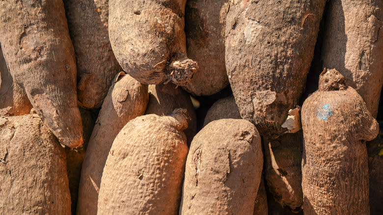 Close up of yams