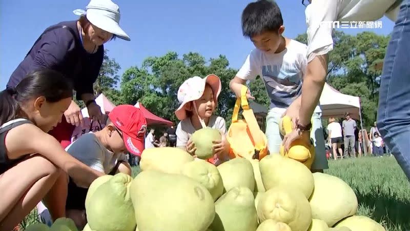 埔心牧場舉辦搬柚子比賽，小朋友玩得不亦樂乎。