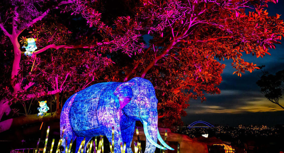 Sydney is awash with breathtaking colour and special effects and will be for the next 23 nights, with the lights officially turned on for Vivid Sydney this evening by Premier Gladys Berejiklian.  The largest event of light, music and ideas in the Southern Hemisphere transforms the city into a colourful showcase of illumination, sensational sounds and creative thinking from 24 May to 15 June 2019.  Ms Berejiklian said Vivid Sydney is a key attraction in the NSW events calendar, boosting visitor numbers to Sydney and the State.  âVivid Sydney is an incredibly important event drawing millions of visitors to the city in May and June each year, many of whom have gone on to explore regional NSW as well,â Ms Berejiklian.  Australia's largest event brings Sydney to life, as well as to light, by encouraging locals and visitors to enjoy Sydney's wonderful food, exciting attractions and excellent shopping during winter. Source: AAP  Minister for Tourism Stuart Ayres said the benefits of Vivid Sydney were significant for the local economy and jobs.  âVivid Sydney is more than just a captivating light, music and ideas festival. Last year Vivid Sydney, with 2.25 million attendees across the 23 days, we saw a record 185,887 travel packages sold to domestic and international visitors which was a 37 per cent increase on 2017,â Mr Ayres said.  All eyes turned to the world-famous Sydney Opera House at 6pm tonight marking the start of the festival for the Lighting of the Sails, created by LA-based artist Andrew Thomas Huang and featuring a hypnotic tribute to Australiaâs native plants Huangâs projection will be among more than 50 light installations and projections created by over 100 artists and collaborators from 17 countries. These will be seen across eight Sydney precincts including Barangaroo, Chatswood, Circular Quay, The Rocks, Darling Harbour, Luna Park, Royal Botanic Garden Sydney and Taronga Zoo.  Where: Sydney, Australia When: 24 May 2019 Credit: Hamilton Lund/Cover Im