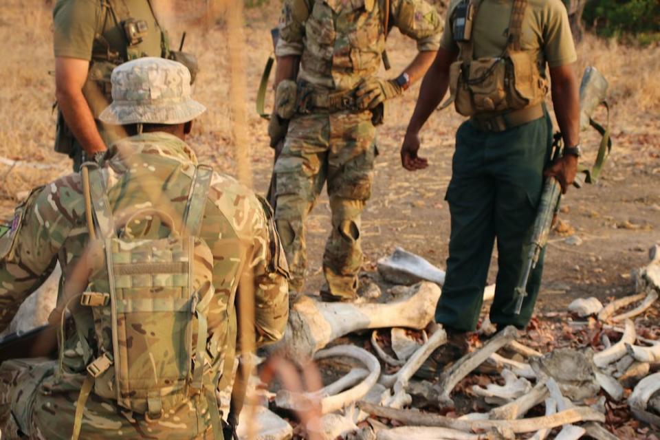 British Army troops and Malawian Park Rangers looking at elephant bones in Liwonde National Park (PA)