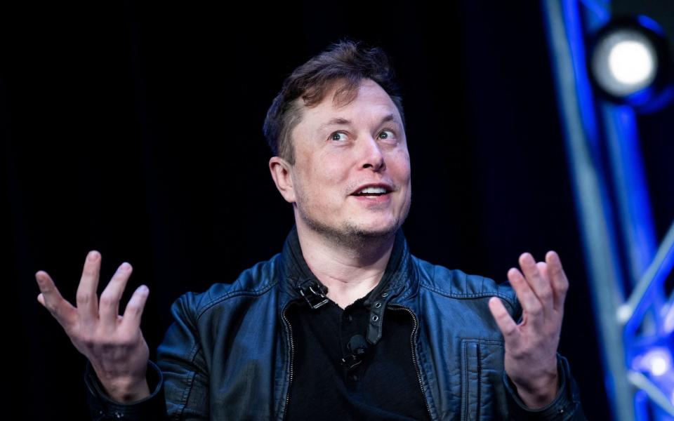 Elon Musk Tesla Twitter - Brendan Smialowski / AFP