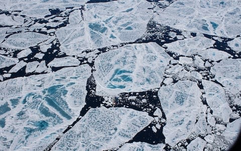 The sea ice melts when it reaches waters off Greenland, dumping vast amounts of microplastic in the water  - Credit: Stefanie Arndt 