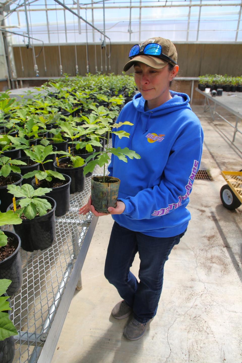 Grounds maintenance supervisor and arborist Aiessa Thomas shows off one of the approximately 1,000 tree seedlings that will be given away on the San Juan College campus in Farmington on Friday, April 26 in observation of Arbor Day.