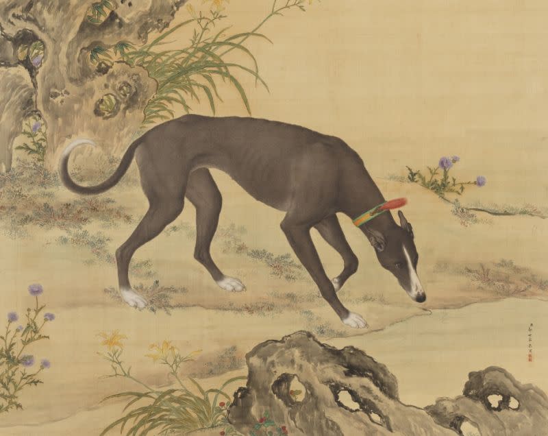 One of the hounds featured in “Ten Fine Hounds” by Italian artist Giuseppe Castiglione. (Photo courtesy of the National Palace Museum via NOWnews)