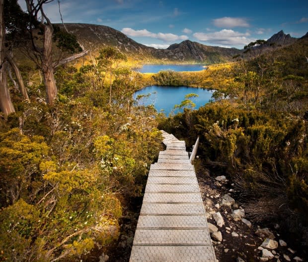 The road to Cradle Mountain, a top Tassie hike. <p>Paparwin Tanupatarachai</p>