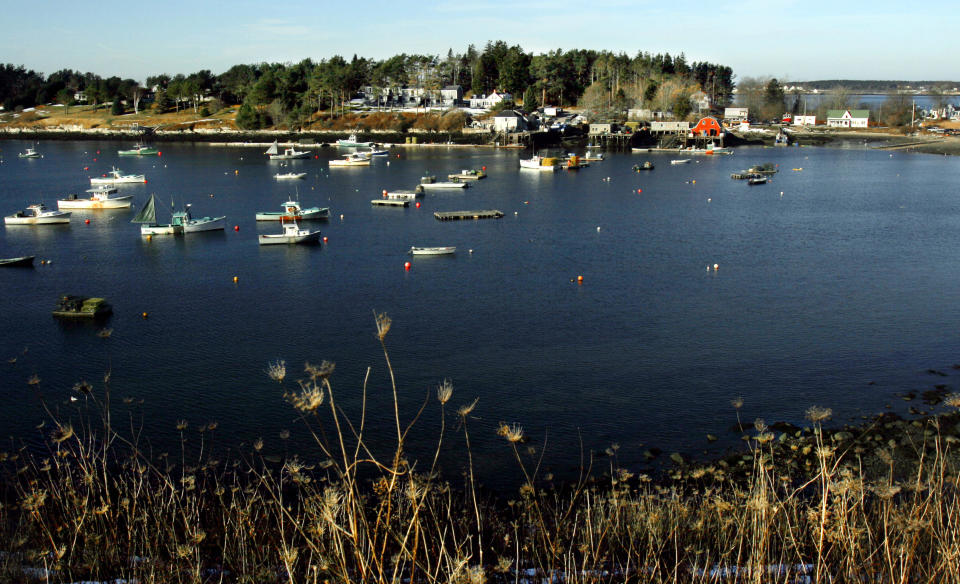 FILE - In this Dec. 21, 2005, file photo, lobster boats are tied to their moorings at Bailey Island, Maine. The state Marine Patrol says a woman has been killed in an apparent shark attack off the coast of Maine, a rare occurrence that has only been recorded once before in the state by an unprovoked shark. Marine Patrol says a witness saw the woman swimming Monday, July 27, 2020, off the shore of Bailey Island when she was injured in what appeared to be a shark attack. (AP Photo/Pat Wellenbach, File)