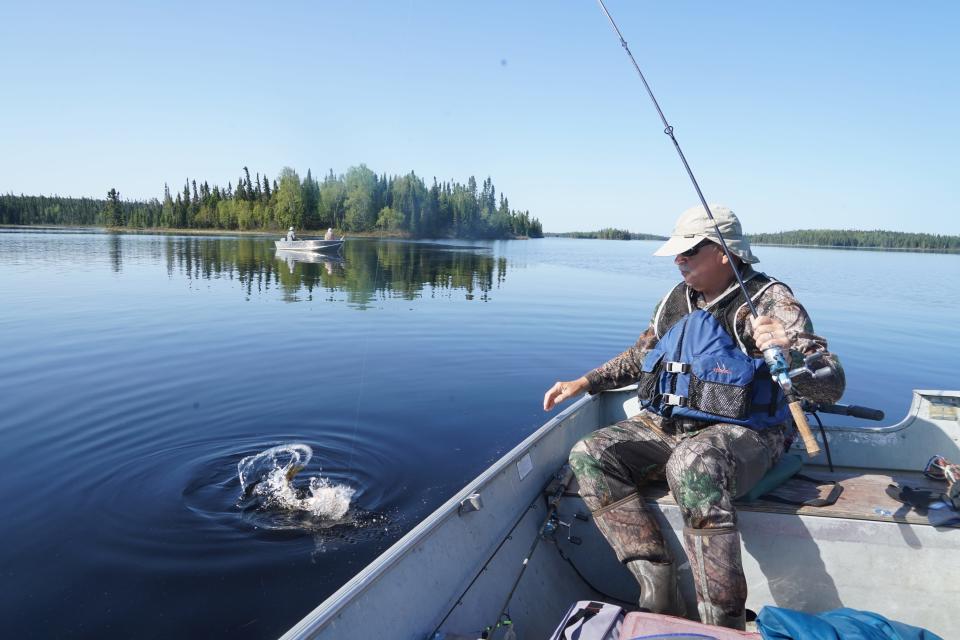 Dave Zeug of Shell Lake prepares to land a walleye while John Glennon of Oregon and Tom Wrasse of Arbor Vitae fish in the background on Seseganaga Lake near Ignace, Ontario.