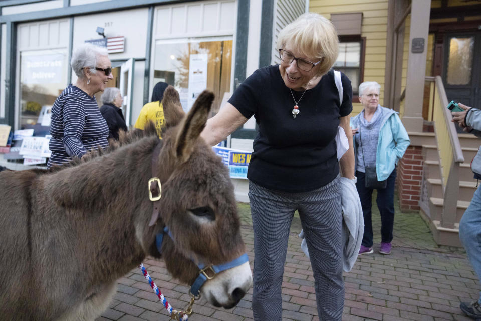 Barbara Brown, 76, pets a donkey named Leonardo during a gathering with her Democratic campaign works and volunteers, Friday, Nov. 4, 2022, in Chestertown, Md. (AP Photo/Julio Cortez)