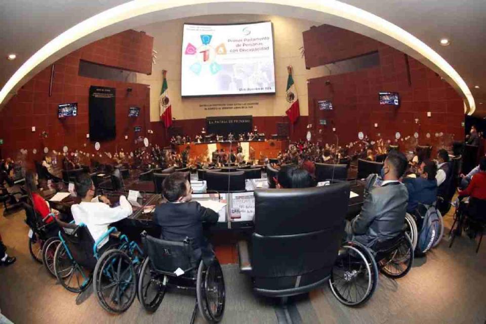 senado personas con discapacidad