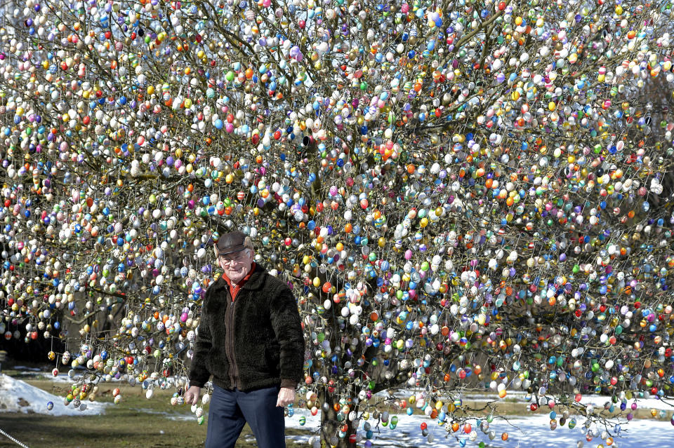 SAALFELD, GERMANY - MARCH 24: Pensioner Volker Kraft stands in front of his apple tree, which he and his family have decorated with 10.000 Easter eggs on March 24, 2013 in Saalfeld, Germany. The family started decorating an apple tree with painted hen's eggs in their garden in 1965 as amusement for child and grandchildren, now it is an attraction that draws thousands of visitors and tourists to the garden of the family. (Photo by Thomas Lohnes/Getty Images)