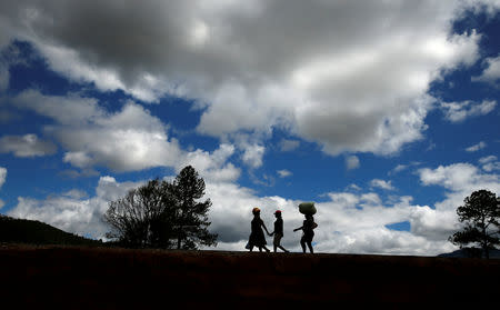 Survivors move to high ground at Peacock growth point in Chimanimani, near the Mozambique border, Zimbabwe, March 22, 2019. REUTERS/Philimon Bulawayo