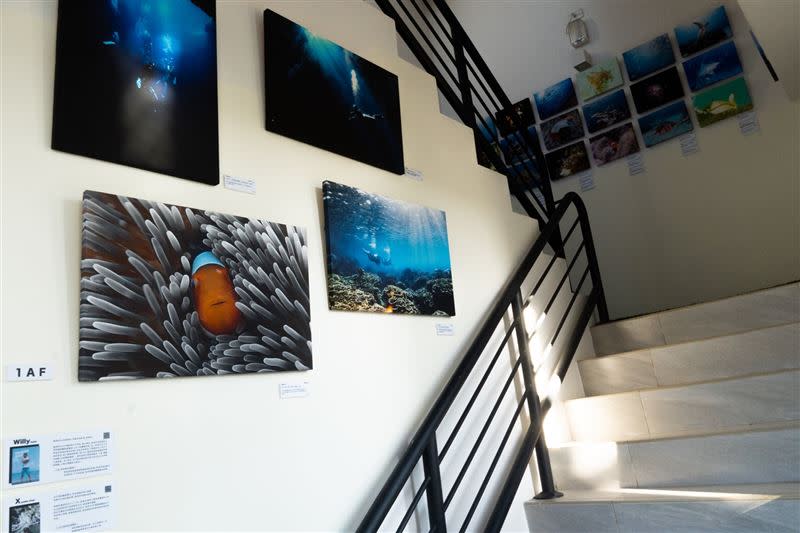 民宿內有許多台灣海底照片製成的掛畫，為了換取現金，業者決定出售。（圖／台灣潛水授權使用）