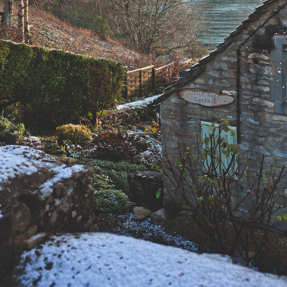 A winter garden covered by snow