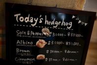 A board shows a selection of hedgehogs for sale at the Harry hedgehog cafe in Tokyo, Japan, April 5, 2016. REUTERS/Thomas Peter