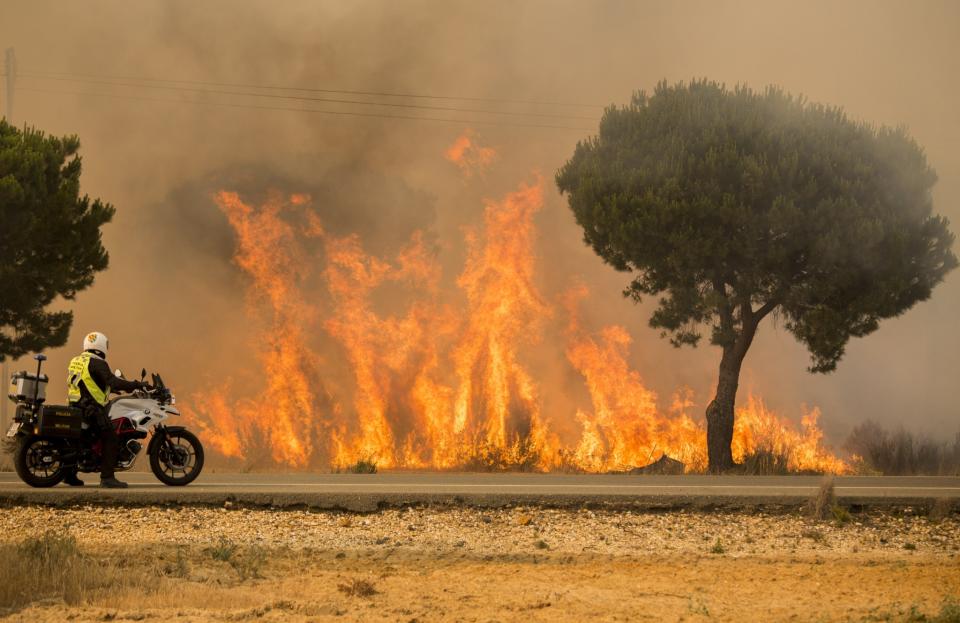 <p>Un incendio enorme alcanzó a la reserva de la biosfera de la UNESCO en el sur de España, provocando la evacuación de cientos de personas. (FOTO: AP). </p>