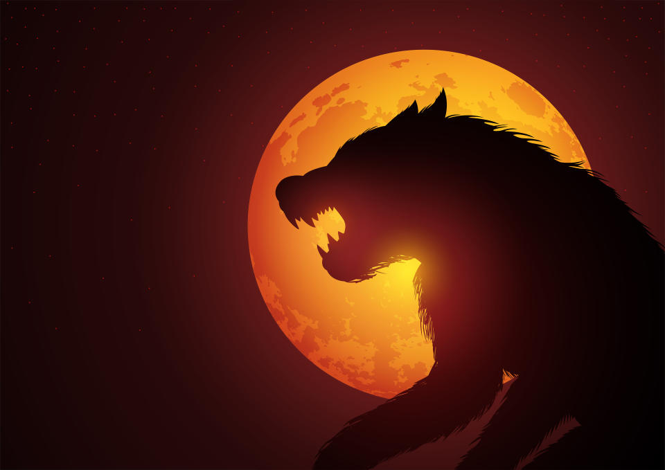 Werewolf lurking in the night during full moon, vector illustration suitable for horror and halloween theme